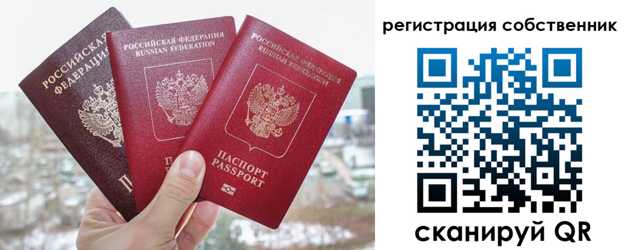 временная регистрация гарантия в Тольятти